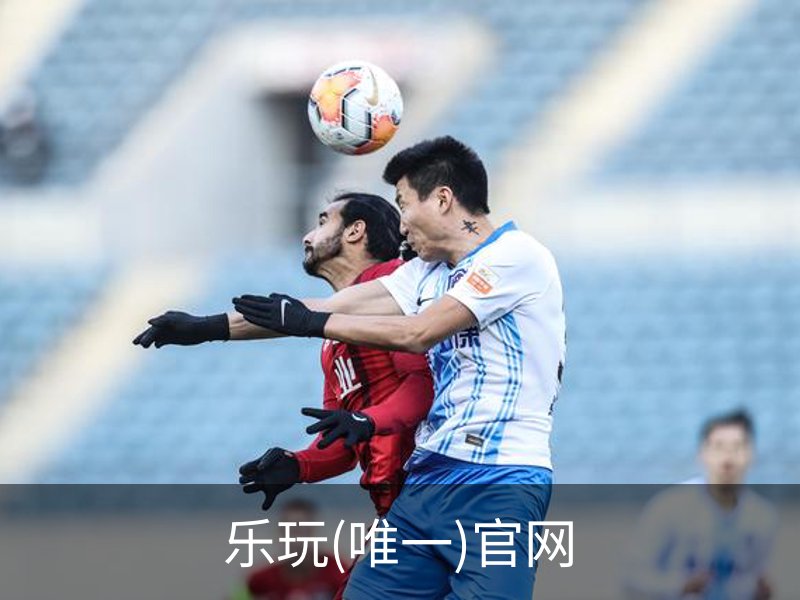 关于乐玩(唯一)官网